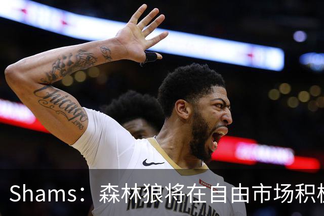 Shams：森林狼将在自由市场积极补强4号位 但他们只能提供底薪